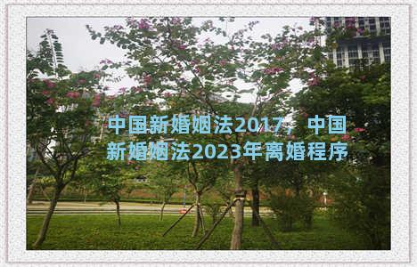 中国新婚姻法2017，中国新婚姻法2023年离婚程序